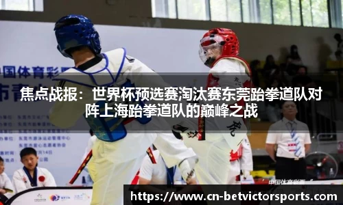 betvictor伟德公司